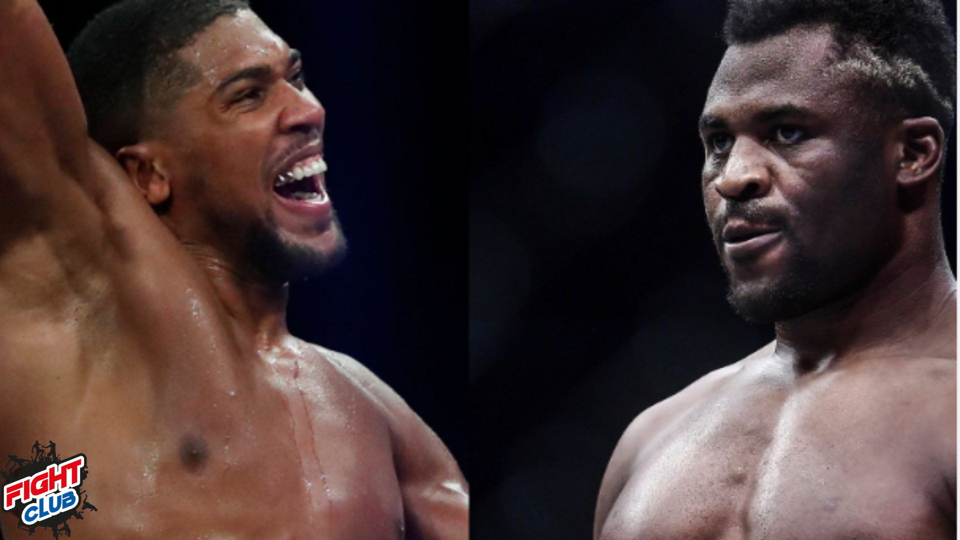 Anthony JOSHUA vs Francis NGANNOU officialisé !